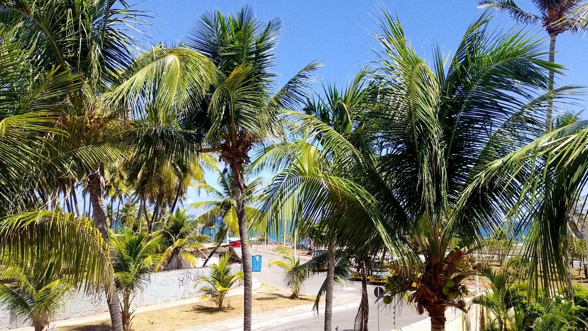 FAROL BEACH Apartamentos&Suítes Salvador de Bahía Exterior foto